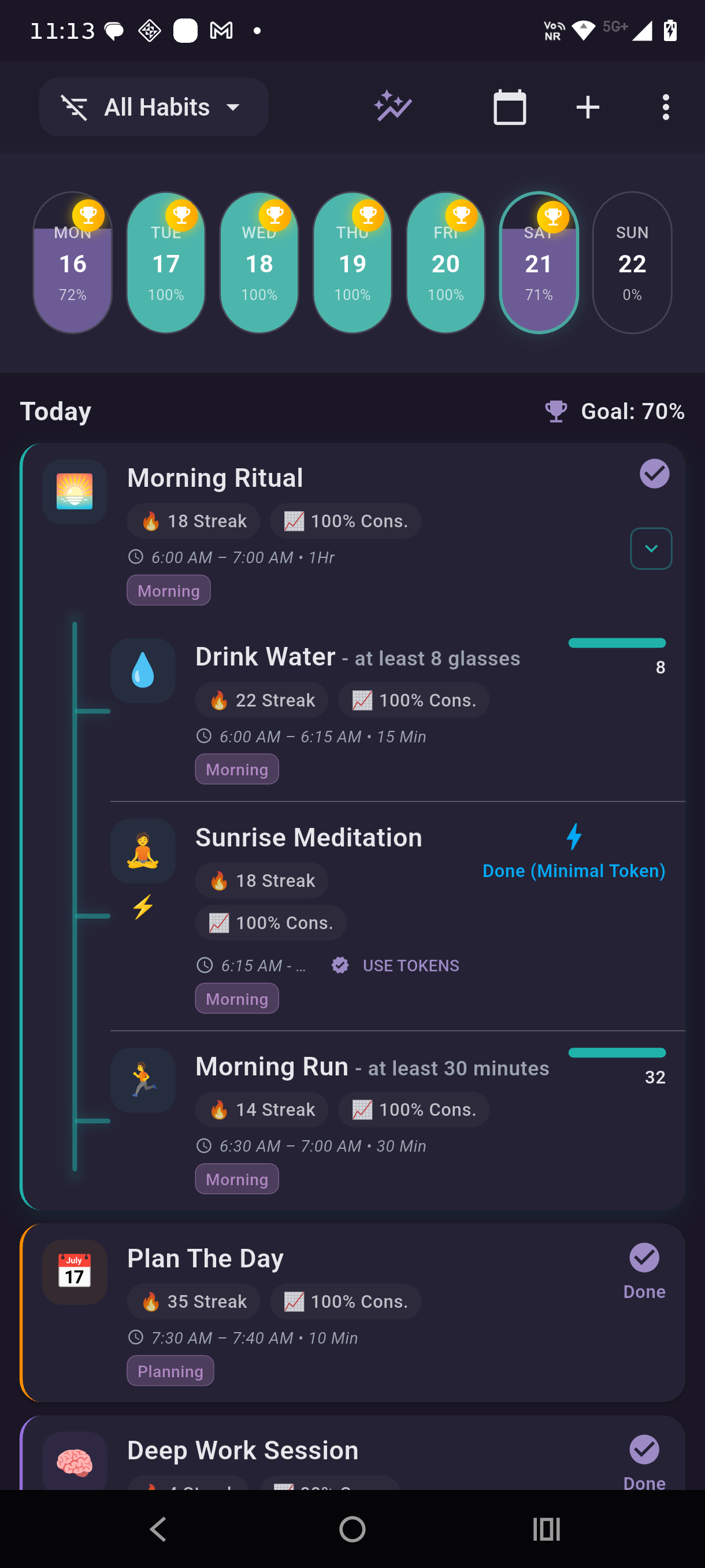 Ritualist Pulse view — daily ritual progress